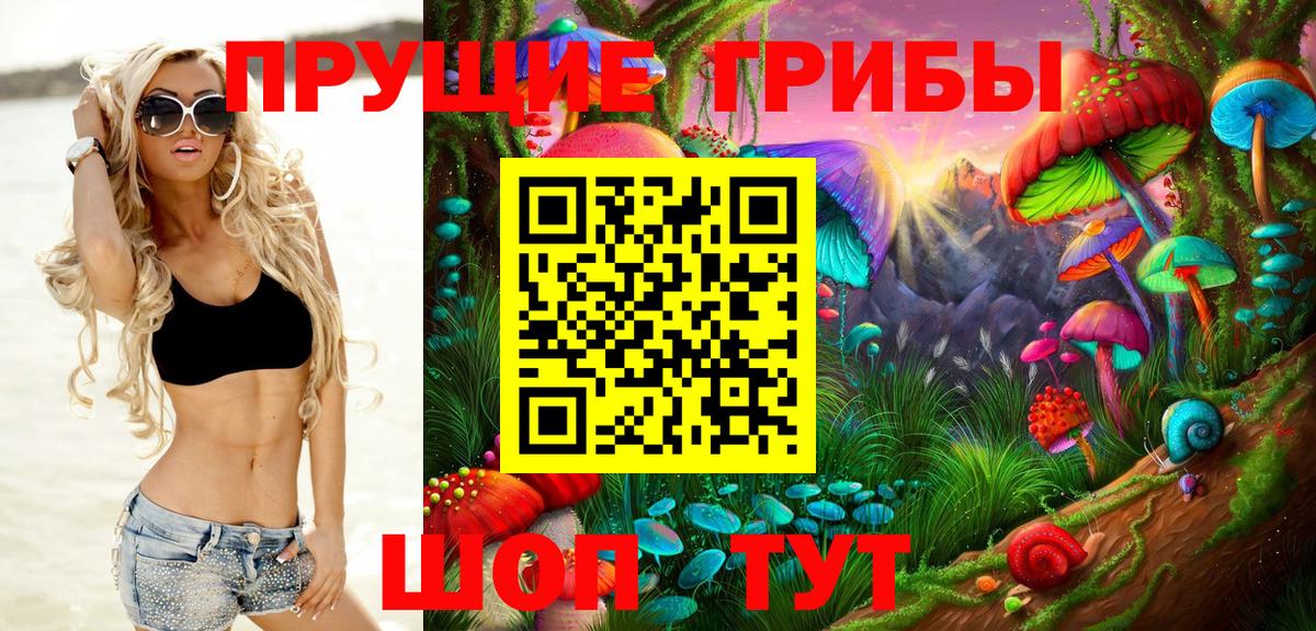 Псилоцибиновые грибы Psilocybine cubensis Касимов
