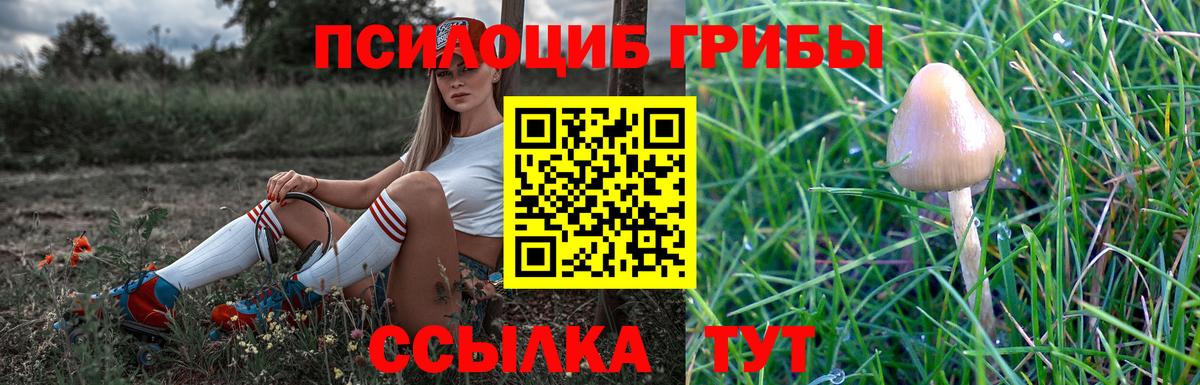 Касимов  Псилоцибиновые грибы ЛСД  Вход с VPN 